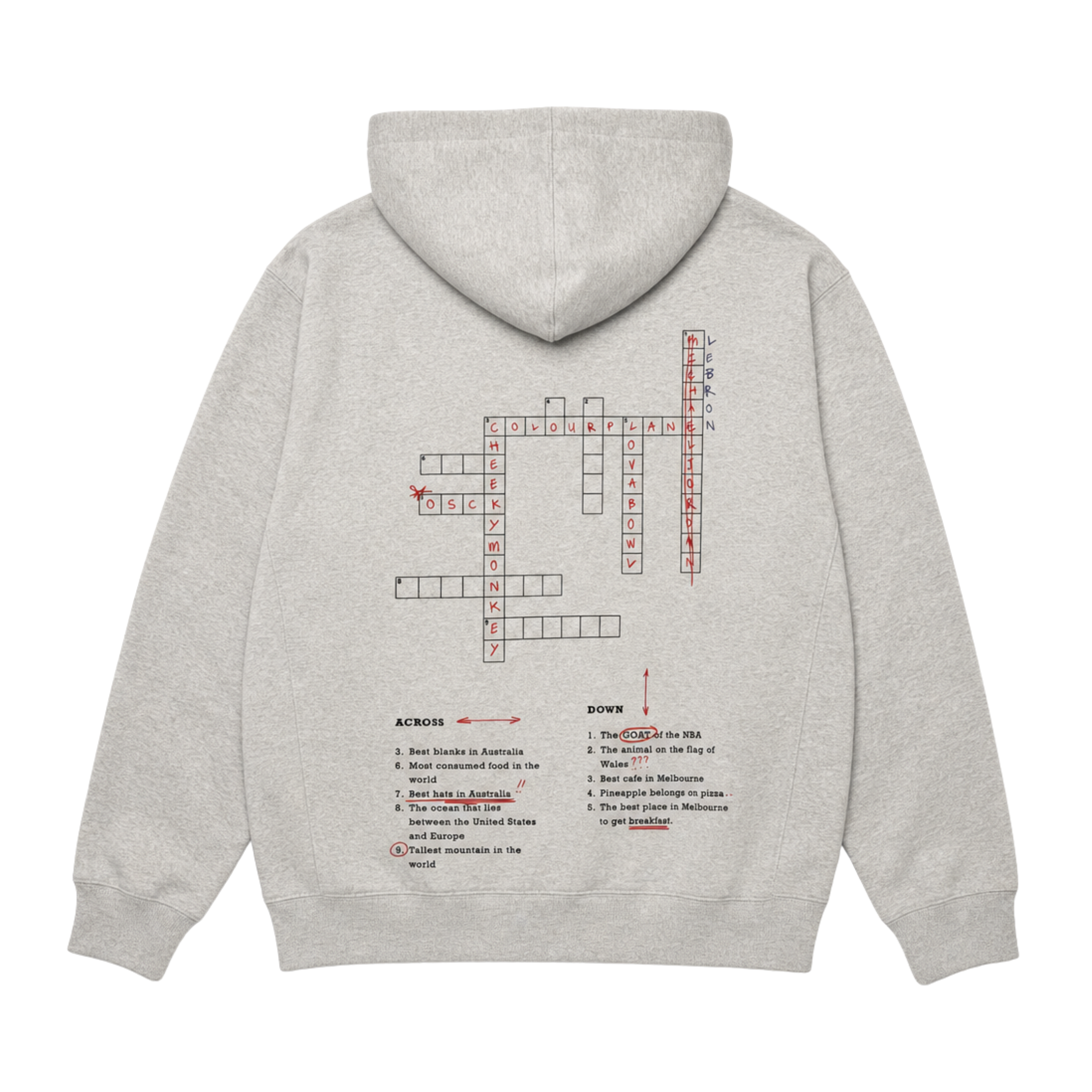 GREY HOODIE